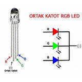Powermaster 1592-5Mm RGB Led 4 Pin Ortak Katot