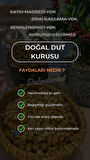 Yeni Mahsül Doğal Kurutulmuş Organik Dut Kurusu (YERLİ) 150 gr