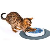 Catit Design Senses Scratch Pad Tirmalama Seti