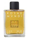 Profumum Roma Rosea Mundi EDP Çiçeksi Unisex Parfüm 100 ml  