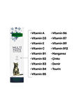 Sernely Anti-hairball Malt Paste 100gr (Tüy Yumağı Önleyici) + Multi Paste 100gr (Multivitamin Kedi Vitamini Macunu)