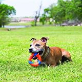 Köpek Oyun Halkası ChuckIt! Ultra Ring