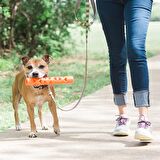 Köpek Oyuncağı ChuckIt! Air Fetch Stick (Küçük Boy)