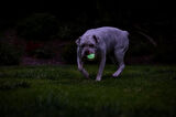 Chuckit! Max Glow Air Fetch Gece Parlayan Köpek Oyun Topu Orta Boy 6.5 Cm