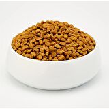 Proplan Sterilised Kısırlaştırılmış Somonlu Kedi Maması 10 Kg
