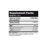 AMIX Tribulus / ZMA 90 Tablet