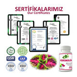 Forskolin Kapsül (COLEUS CAPSULE)