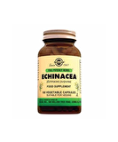 Solgar Echinacea 100 Kapsül