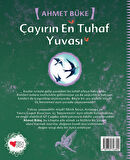 Çayırın En Tuhaf Yuvası