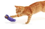 Kong Kedi Peluş Kuyruklu Mantar Oyun Topu 19cm Karışık Renk