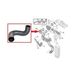 TURBO HORTUM PEUGEOT 407-CITROEN C5 II-C5 X7 2005- 0382.RW-0382LP