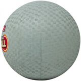 Mikasa Dodge Ball