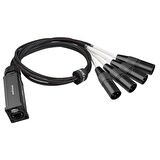 PS4M XLR Sinyal Uzatıcı - Erkek - Roxtone