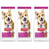 Hill's Small Kuzu Etli-Pirinçli Yetişkin Kuru Köpek Maması 3x1.5 kg