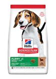 Hill’s Kuzu Etli Büyük Irk Yavru Kuru Köpek Maması 2.5 kg