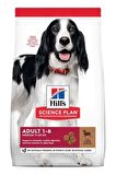 Hill's Kuzu Etli Orta Irk Yetişkin Köpek Maması 14 Kg