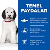Hills Hypo-Allergenic Somonlu Orta Irk Yetişkin Köpek Maması 12 Kg