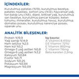Hills Hypo-Allergenic Somonlu Orta Irk Yetişkin Köpek Maması 12 Kg