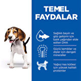 Hill's Tavuklu 370 gr Yavru Konserve Köpek Maması