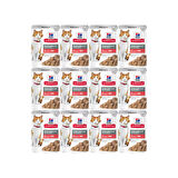 Hill's Kısırlaştırılmış Kedi Konservesi Somon Balıklı 85 gr 6'lı