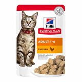Hill's Tavuk Etli Yetişkin Kedi Konservesi 85 Gr