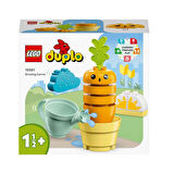 Duplo İlk Büyüyen Havucum 10981-18 Ay Ve Üzeri Küçük Çocuklar İçin Eğitici Oyuncak Yapım Seti
