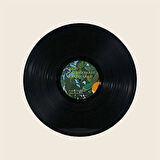 Lana Del Rey Violet Bent Backwards Over the Grass LP 0602507429805 PLAK