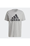 ESSENTIALS BIG LOGO TEE