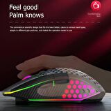 Kablosuz Oyuncu Mouse Rgb LED 2.4G 8 Buton 1600DPİ Şarj Edilebilir