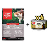 Orijen Fit&Trim Fazla Kilolu Kediler için Light Tahılsız Kedi Maması 5,4 kg + 6 Adet Acana Premium Kuzulu Ezme Kedi Konservesi 85 gr