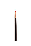 Kamış Kalem Naturel- Orta Boy 18-24cm (1 Adet)