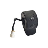 N65 Gaz Kolu