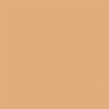 Gdx Seyyar Kağıt Sonsuz Stüdyo Fon Perde (Beige) 2.70x11 Metre