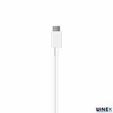 Winex Samsung Galaxy A2 Core 3A 45W Type-C to Type-C 2Metre Data ve Hızlı Şarj Kablosu