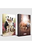 Köpek Temalı Defter Seti Can Dostlar Ve Neşeli Dostlar