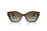MICHAEL KORS 2246U 40193M 52-17