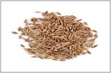 Arzuman Dereotu Tohumu (25 Gr)