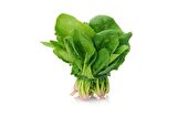 Ispanak Tohumu 1 Kg (Yerli) Kuzukulağı Çeşidi