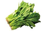 Ispanak Tohumu 1 Kg (Yerli) Kuzukulağı Çeşidi