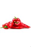 BT Burkap Kapya Biber (yağlık-salçalık) 10 Gr
