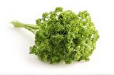 Kıvırcık Maydanoz (Frenk Maydanoz) 10 Gr
