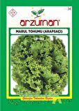 Marul Tohumu - Arapsaçı Kıvırcık Marul (10 gr)