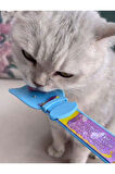 Magıc Spoon Kedi/köpek Krema Ödül Maması Yedirme Kaşığı(KOLAY KAŞIK)