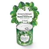 BUFFER® Konserve Bahçem Evde Konservede İri Maydanoz Yetiştirme Kiti