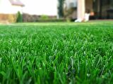 Grass Seed Basılmaya Uygun 4'lü İthal Karışım Çim Tohumu 1 Kg.