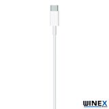 Winex 5A 100W 2Metre Type-C to Lightning Şarj Kablosu Beyaz