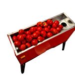 Fenglin FNG-3000 Profesyonel Salça Makinası