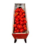 Fenglin FNG-3000 Profesyonel Salça Makinası