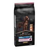 Pro Plan Large Athletic Sensitive Skin Somonlu 14 kg Yetişkin Köpek Maması