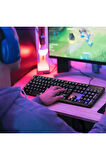 Dexim KBL707 Mekanik Hisli RGB Led Arka Işıklı Şeffaf Gaming Oyuncu Klavye